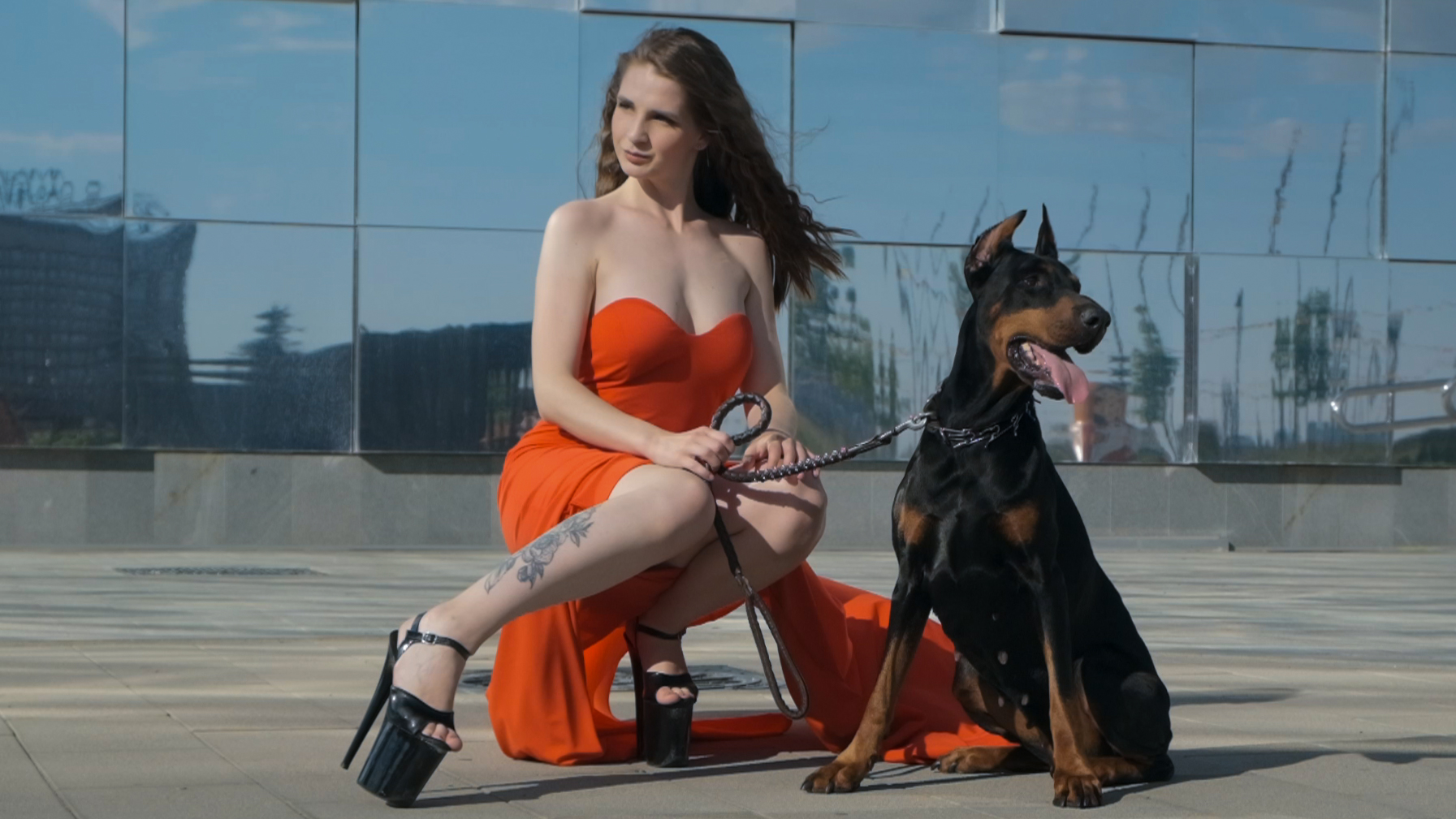 Фотосессия с доберманами от Artlikelux видео смотреть онлайн