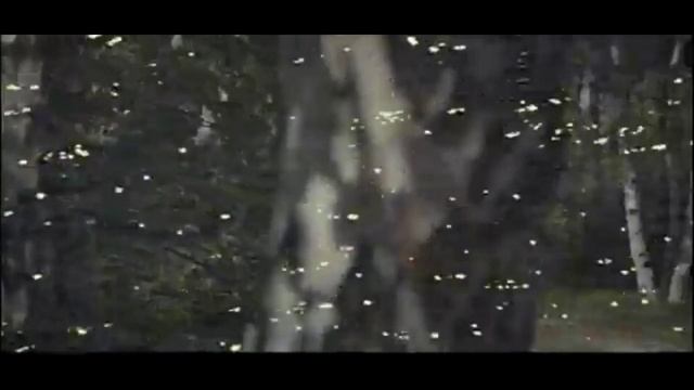 КУПОЛА ЗОЛОТЫЕ - поёт Алла Васильева смотреть онлайн