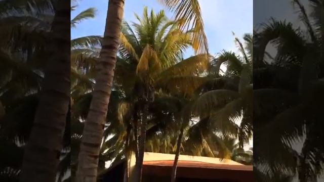 Sol Sarenas, Varadero, Cuba 12 смотреть онлайн