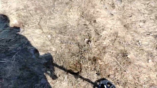 Тест VANQUISH 440 на золото