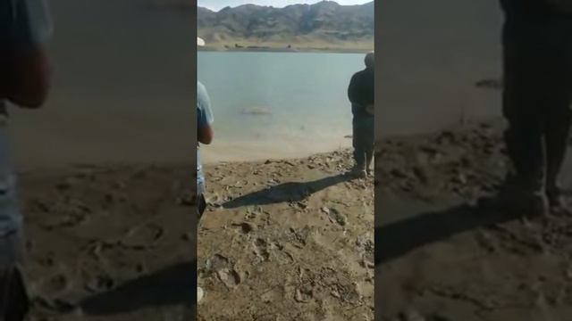 рыбалка талас амур 15 кг жай кировка смотреть онлайн