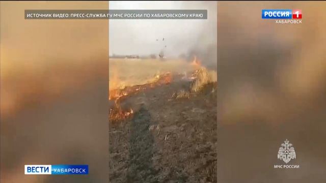 В небе снова гарь и дым: под Хабаровском горит остров Большой Уссурийский смотреть онлайн