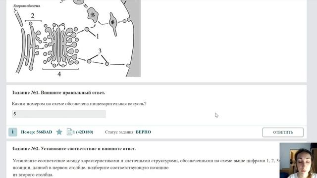 Задачи 5 и 6 ЕГЭ из открытого банка ФИПИ разбор смотреть онлайн
