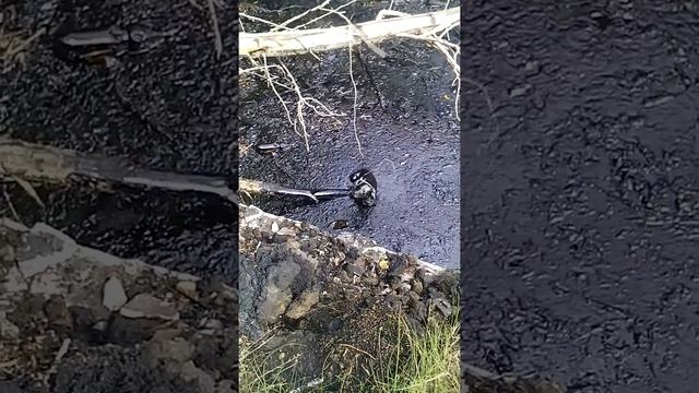 Мазутная яма смотреть онлайн