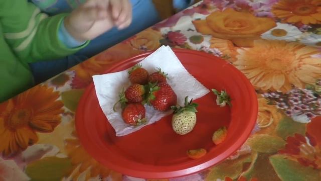 КЛУБНИКА (ч.21) пробуем ВПЕРВЫЕ - МОИ ДЕТКИ, 19.06.2015г. смотреть онлайн