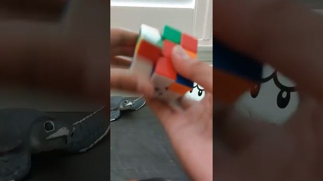 Let's Solve A Speed Cube. #speedcubing #rubikscube смотреть онлайн