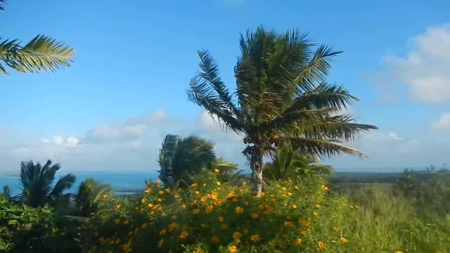 POLYNESIE COOK AITUTAKI VIEW FROM MAUNTAIN MAUNGAPU 2013 SERGEJ FEDULOW смотреть онлайн