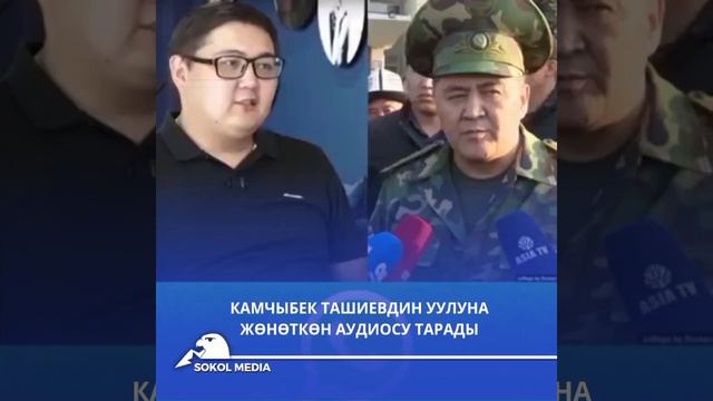 📌Камчыбек Ташиевдин уулуна жөнөткөн аудиосу тарады   Аудиодо Ташиев уулуна мамлекеттик жумуштарга смотреть онлайн