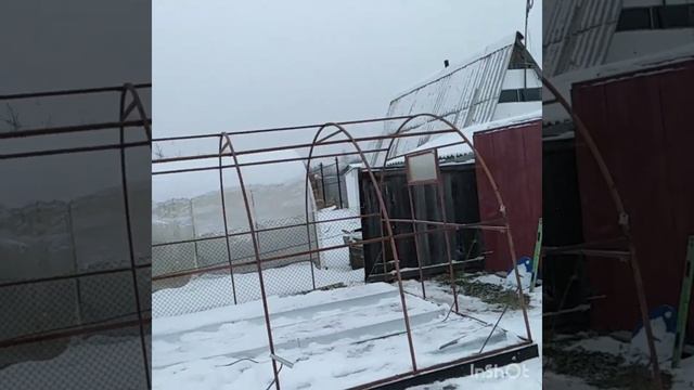 Ремонт теплицы / замена поликарбоната в Тюмени