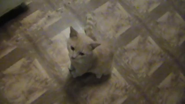 MOV001 смотреть онлайн