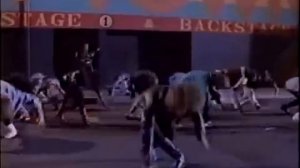 Run With Us - Lisa Lougheed (The Raccoons)
