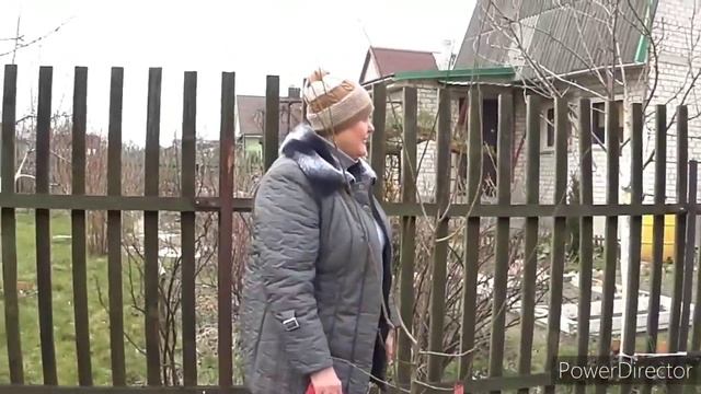 На даче. Как обрезали черешню. Приехала соседка.Vlog. Брест смотреть онлайн