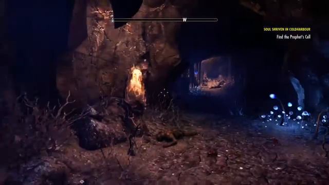 Elder scrolls gold edition lets do thisssss смотреть онлайн