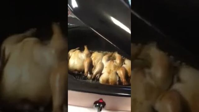 Oster smoker roaster 16qt part 2 смотреть онлайн