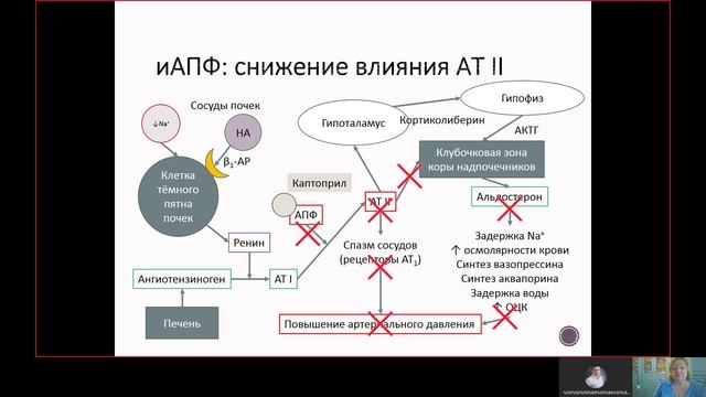 Фарма ВСЕ 12.2. Средства, влияющие на РААС.mp4 смотреть онлайн