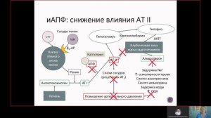 Фарма ВСЕ 12.2. Средства, влияющие на РААС.mp4