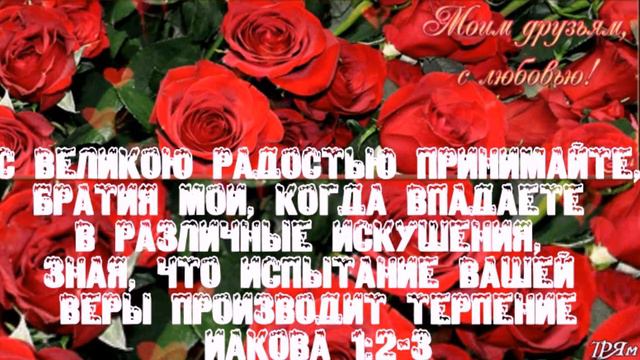 С великой радостью смотреть онлайн