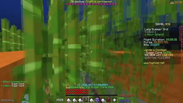 Crafting The Rarest Farming Tool... (Hypixel Skyblock) смотреть онлайн