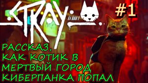 КОТ В МЁРТВОМ ГОРОДЕ КИБЕРПАНКА. НАЧАЛО ПУТИ ДОМОЙ. Прохождение Stray #1