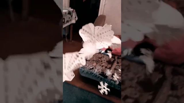 зделала новогодние снежинки я вас люблю смотреть онлайн