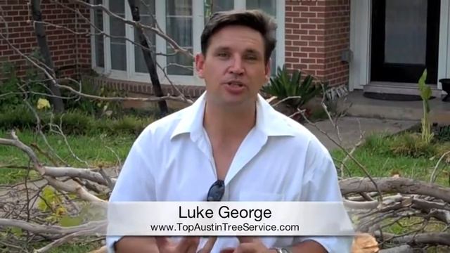 Austin Tree Service | Tree Trimming Facts | 512-337-4177 смотреть онлайн