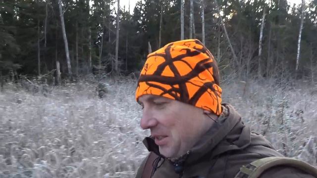 ОХОТА на ЛОСЯ загоном прошла удачно. Беги, Лёша, беги! смотреть онлайн