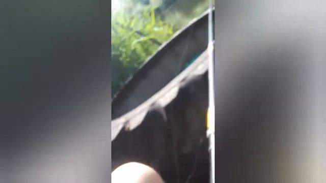 ЛЕТНЯЯ РЫБАЛКА НА КАРАСЯ И КАРПИКА. смотреть онлайн
