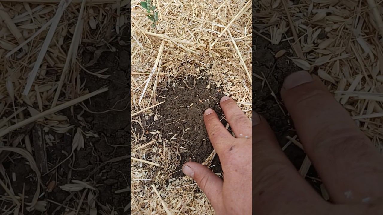 Что по потерям? Много или в норме? Кто как считает потери? смотреть онлайн