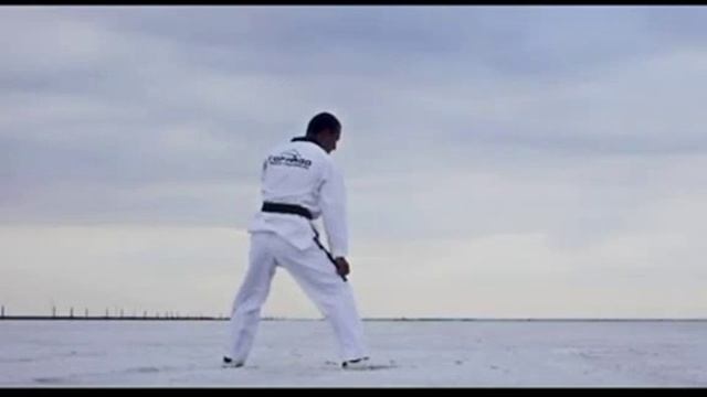 Тхеквондо красивые удары смотреть онлайн