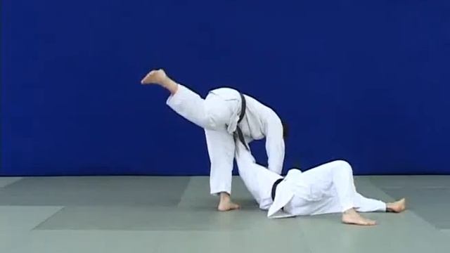 Nage waza – o-soto-gaeshi (judo, 5 kyu). смотреть онлайн