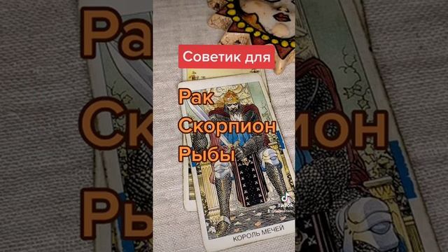 Водные знаки зодиака. Таро советуют смотреть онлайн
