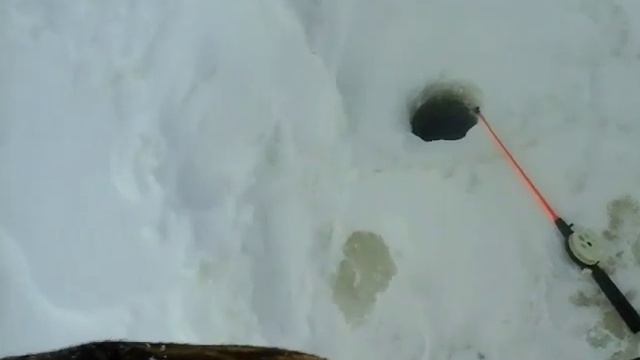 Муромское озеро.Ловля окуня в марте. смотреть онлайн