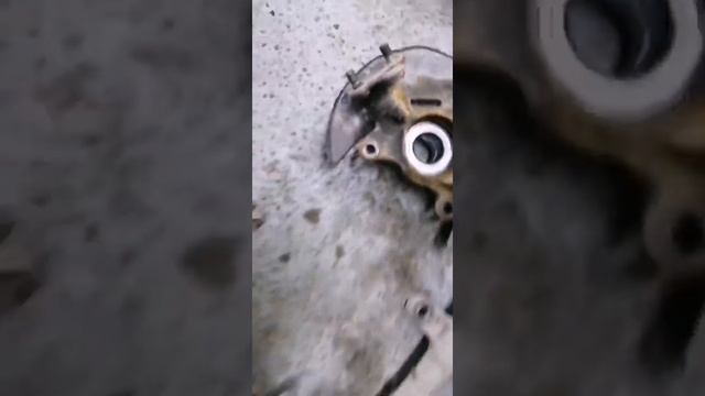 Фантастические Перспективы