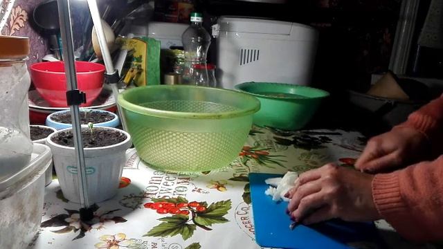 Неужели такое бывает / Пирог / Жизнь в селе. смотреть онлайн