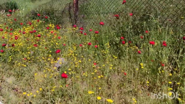 Отдых в Греции в Апреле 2022 г. Красивый пляж в Глифада / Заброшенный аэропорт в Греции. смотреть онлайн