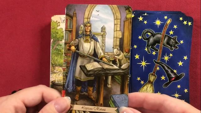 ? Повседневное Таро Ведьмы | Обзор и галерея | Everyday Witch Tarot | Review & flip through ✨ смотреть онлайн