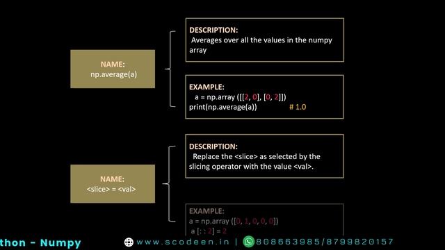 Pocket Copy | Numpy | Python | Scodeen Global | смотреть онлайн
