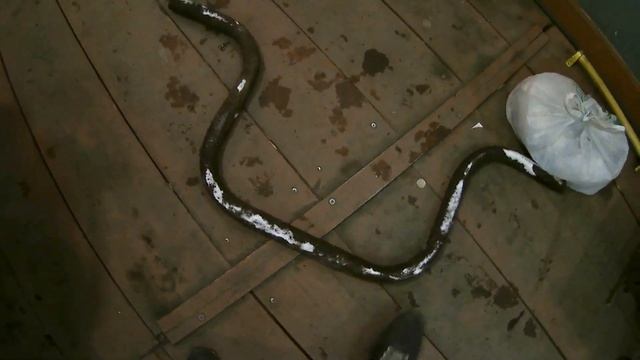 Прямоток из штатного глушителя Motoland XR 250 Enduro