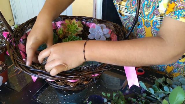 ¿Cómo decorar una canasta con suculentas?💚 muy fácil aquí te enseño☺️