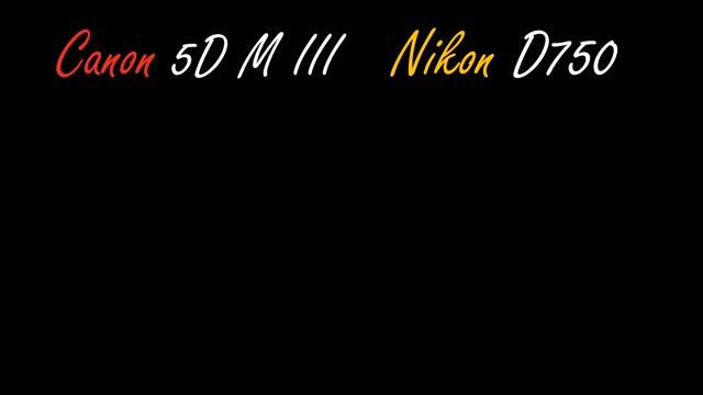Canon 5D Mark III vs Nikon D750 смотреть онлайн