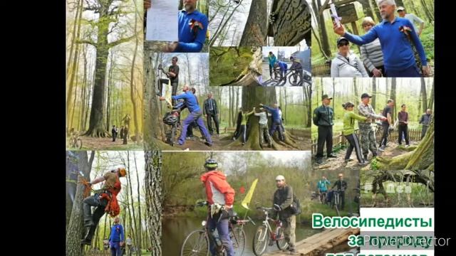Координационный экологический совет смотреть онлайн