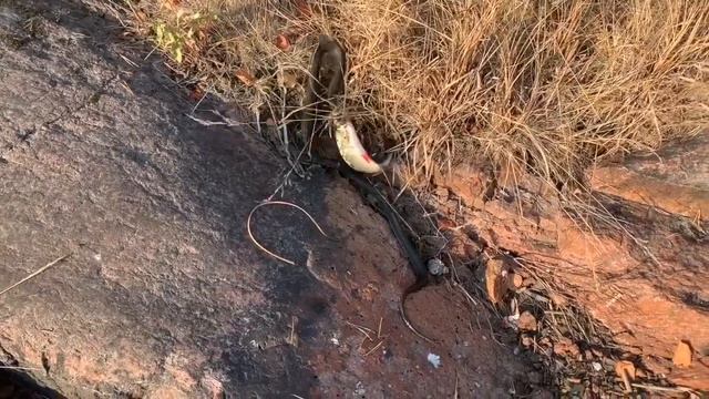 Одиночный ПВД на Ястребиное озеро. смотреть онлайн