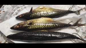 Скумбрия горячего копчения.Скумбрия копчёная.