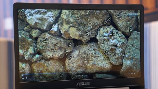 Asus ZenBook 13 UX331: Kompakt, leicht, aber auch schnell? смотреть онлайн