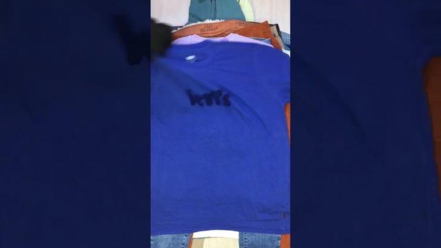 Одежда оптом Лот 931 Взрослая одежда LEVI'S Цена 29,98 евро шт 40 единиц 1 смотреть онлайн