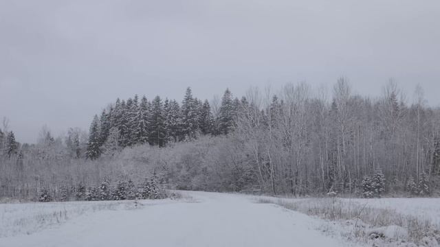 Годами разыскивала пропавшего сына, а увидев жильца дома инвалидов, опешила Истории из жизни смотреть онлайн