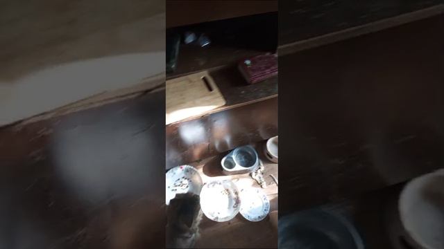 жизнь смотреть онлайн