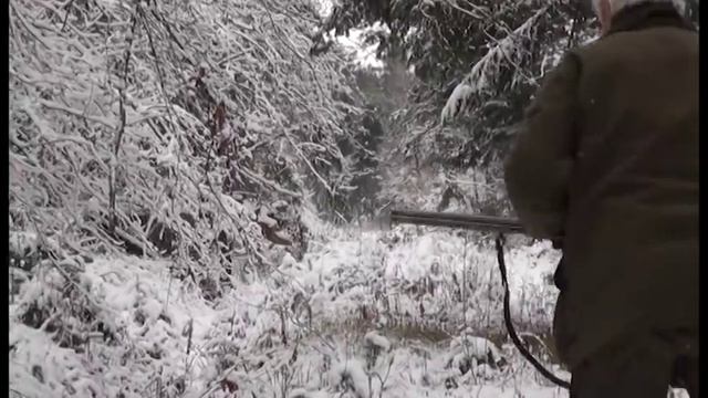 Карпатский "ДЫК" смотреть онлайн