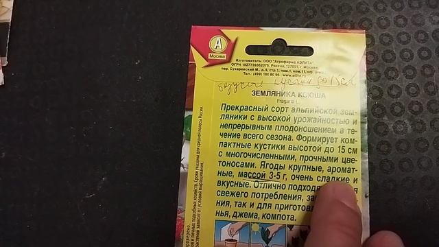 Земляника.10 сортов безусой,мелкоплодной земляники. Часть 4 смотреть онлайн