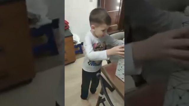 Подарили ребёнку абиссинского котёнка